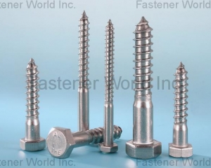 Lag Screws(TONG HWEI ENTERPRISE CO., LTD. )