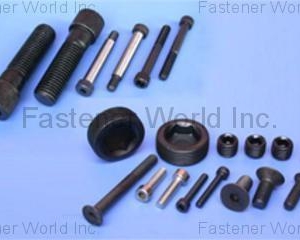 Fastener(INFASTECH/TRI-STAR LIMITED TAIWAN BRANCH)