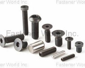 Fastener(INFASTECH/TRI-STAR LIMITED TAIWAN BRANCH)