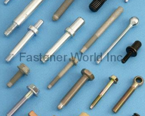 Special Screws(TSAE FARN SCREWS HARDWARE CO., LTD.)