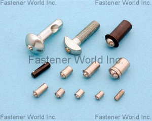 Fasteners/n.e.s.(TSAE FARN SCREWS HARDWARE CO., LTD.)