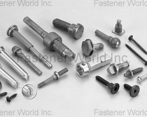 Special Screws(KENT SCREWS CO., LTD. )