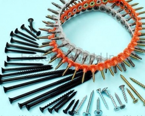 Collated Screw(CHAEN WEI CORPORATION )