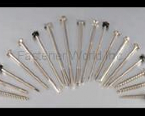 Stainless Screw(GOFAST CO., LTD. )