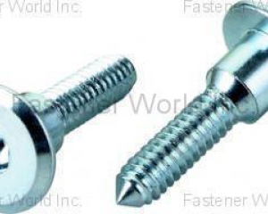 fastener-world(ZYH YIN ENT. CO., LTD.  )