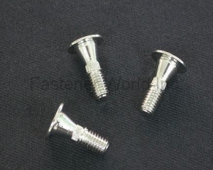 Special Parts & Bolts(YOW CHERN CO., LTD. )