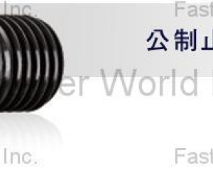 fastener-world(MAUDLE INDUSTRIAL CO., LTD.  )