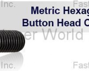 l   HEXAGON SOCKET BUTTONHEAD CAP SCREWS(MAUDLE INDUSTRIAL CO., LTD. )