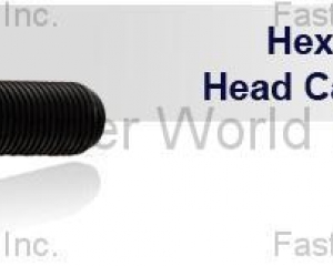 fastener-world(MAUDLE INDUSTRIAL CO., LTD.  )