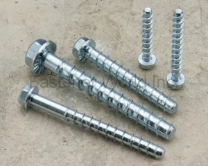 fastener-world(SHEH KAI PRECISION CO., LTD.  )