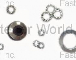 Spring Lock Washers(J.C. GRAND CORPORATION (JC))