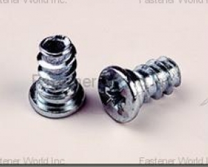 Special Screws(GINFA WORLD CO., LTD. )