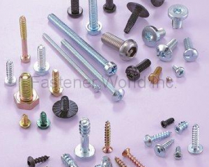 SCREWS(WE POWER INDUSTRY CO., LTD. )