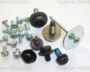 fastener-world(SHIN CHUN ENTERPRISE CO., LTD.  )