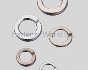 fastener-world(RONG CHANG METAL CO., LTD.  )
