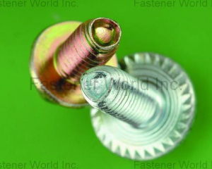 fastener-world(QST INTERNATIONAL CORP.  )
